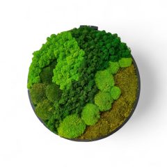 ör alakú prémium zuzmó faldékor – természetes zöld térélmény panel