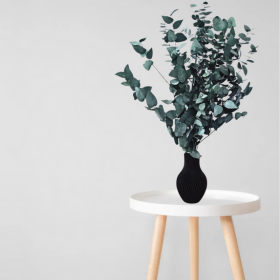 Miért jó választás a bioműanyag lakberendezési kiegészítő?